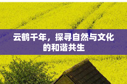 云鹤千年，探寻自然与文化的和谐共生