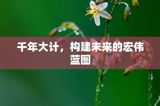 千年大计,构建未来的宏伟蓝图 千年大计,构建未来的宏伟蓝图