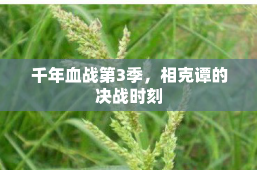 千年血战第3季，相克谭的决战时刻