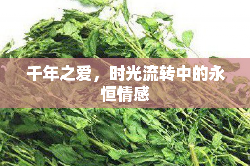 千年之爱，时光流转中的永恒情感