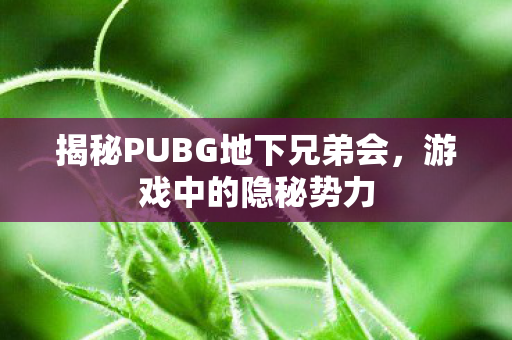 揭秘PUBG地下兄弟会,游戏中的隐秘势力 揭秘PUBG地下兄弟会,游戏中的隐秘势力