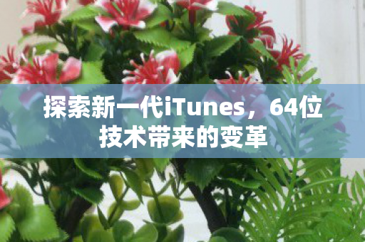 探索新一代iTunes,64位技术带来的变革 探索新一代iTunes,64位技术带来的变革