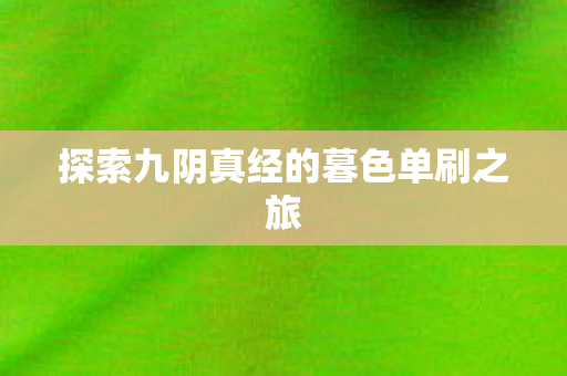 探索九阴真经的暮色单刷之旅 探索九阴真经的暮色单刷之旅