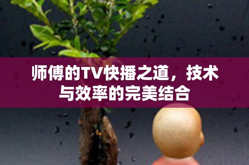 师傅的TV快播之道,技术与效率的完美结合 师傅的TV快播之道,技术与效率的完美结合