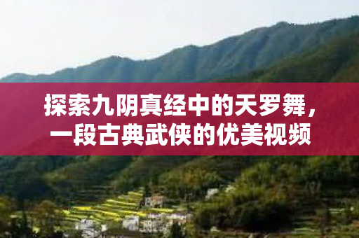 探索九阴真经中的天罗舞,一段古典武侠的优美视频 探索九阴真经中的天罗舞,一段古典武侠的优美视频