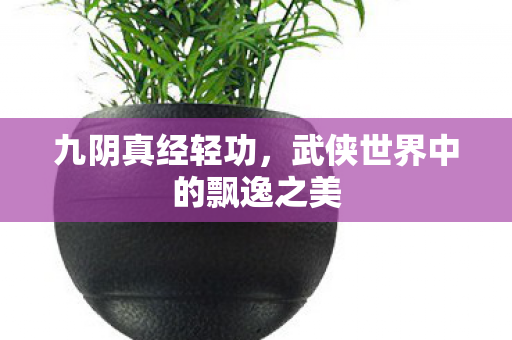 九阴真经轻功,武侠世界中的飘逸之美 九阴真经轻功,武侠世界中的飘逸之美