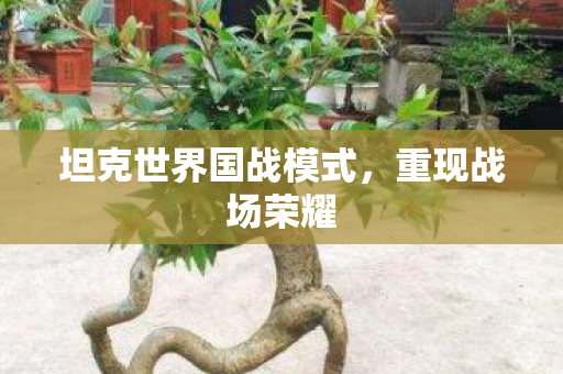 坦克世界国战模式，重现战场荣耀