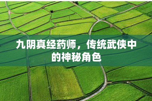 九阴真经药师,传统武侠中的神秘角色 九阴真经药师,传统武侠中的神秘角色