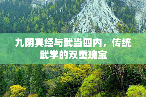 九阴真经与武当四内,传统武学的双重瑰宝 九阴真经与武当四内,传统武学的双重瑰宝