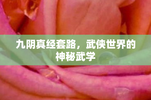 九阴真经套路，武侠世界的神秘武学