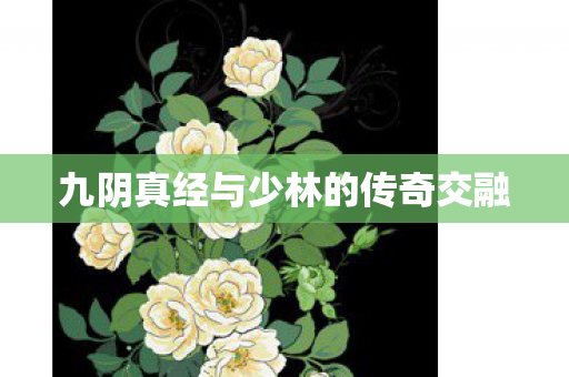 九阴真经与少林的传奇交融 九阴真经与少林的传奇交融
