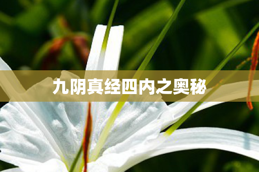 九阴真经四内之奥秘 九阴真经四内之奥秘