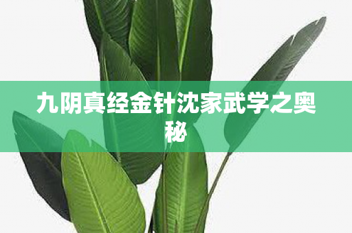 九阴真经金针沈家武学之奥秘 九阴真经金针沈家武学之奥秘