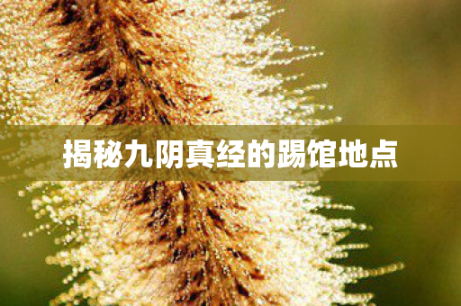 揭秘九阴真经的踢馆地点 揭秘九阴真经的踢馆地点