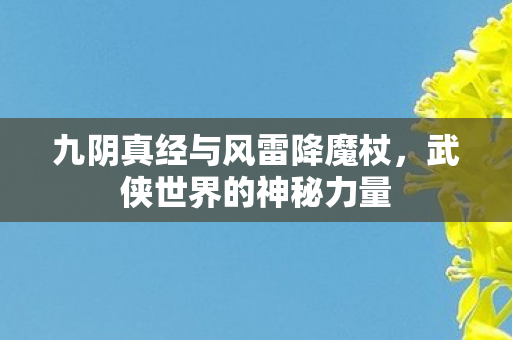 九阴真经与风雷降魔杖，武侠世界的神秘力量