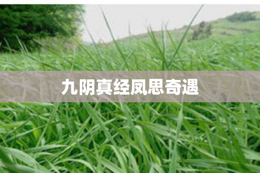 九阴真经凤思奇遇 九阴真经凤思奇遇