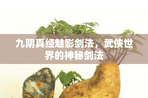 九阴真经魅影剑法，武侠世界的神秘剑法