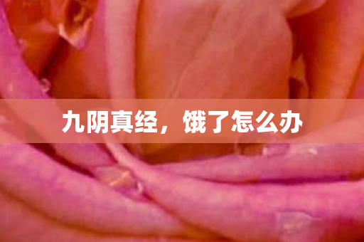 九阴真经,饿了怎么办 九阴真经,饿了怎么办
