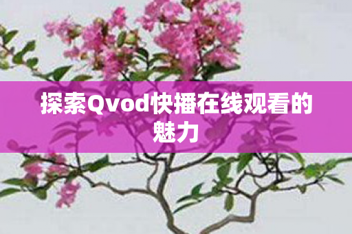 探索Qvod快播在线观看的魅力 探索Qvod快播在线观看的魅力