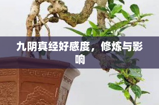 九阴真经好感度，修炼与影响