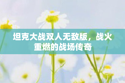 坦克大战双人无敌版,战火重燃的战场传奇 坦克大战双人无敌版,战火重燃的战场传奇