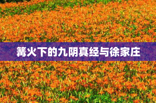 篝火下的九阴真经与徐家庄 篝火下的九阴真经与徐家庄