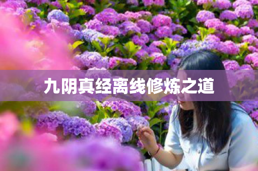 九阴真经离线修炼之道 九阴真经离线修炼之道