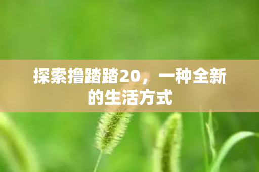 探索撸踏踏20,一种全新的生活方式 探索撸踏踏20,一种全新的生活方式
