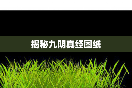 揭秘九阴真经图纸 揭秘九阴真经图纸