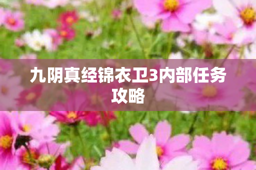 九阴真经锦衣卫3内部任务攻略 九阴真经锦衣卫3内部任务攻略