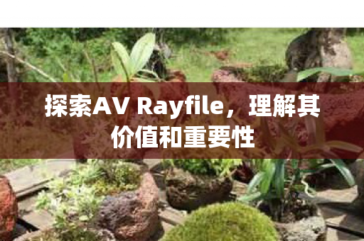 探索AV Rayfile,理解其价值和重要性 探索AV Rayfile,理解其价值和重要性