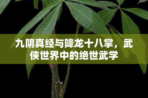 九阴真经与降龙十八掌,武侠世界中的绝世武学 九阴真经与降龙十八掌,武侠世界中的绝世武学