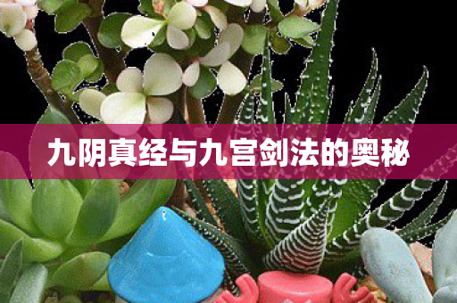 九阴真经与九宫剑法的奥秘
