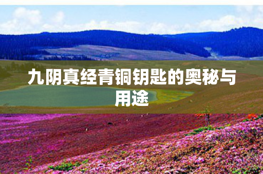 九阴真经青铜钥匙的奥秘与用途 九阴真经青铜钥匙的奥秘与用途