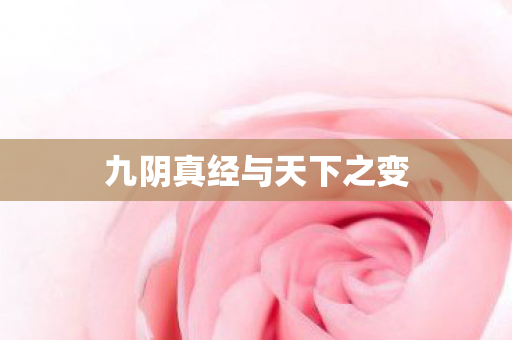 九阴真经与天下之变 九阴真经与天下之变