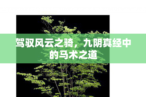 驾驭风云之骑,九阴真经中的马术之道 驾驭风云之骑,九阴真经中的马术之道