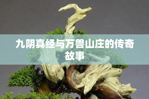 九阴真经与万兽山庄的传奇故事 九阴真经与万兽山庄的传奇故事