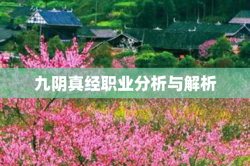 九阴真经职业分析与解析 九阴真经职业分析与解析