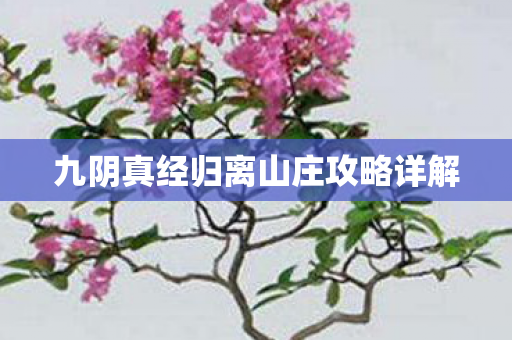 九阴真经归离山庄攻略详解 九阴真经归离山庄攻略详解