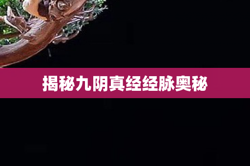 揭秘九阴真经经脉奥秘 揭秘九阴真经经脉奥秘
