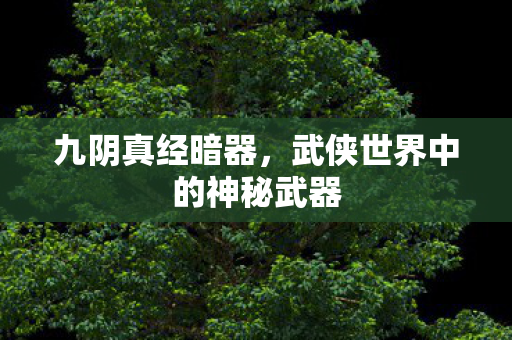 九阴真经暗器,武侠世界中的神秘武器 九阴真经暗器,武侠世界中的神秘武器