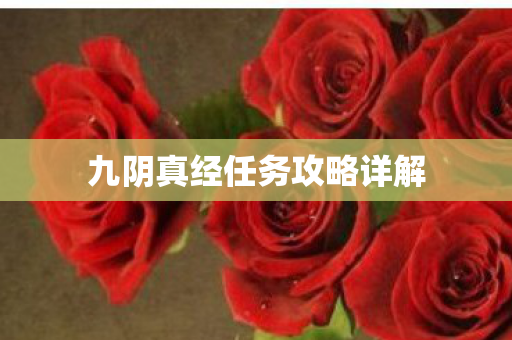 九阴真经任务攻略详解 九阴真经任务攻略详解