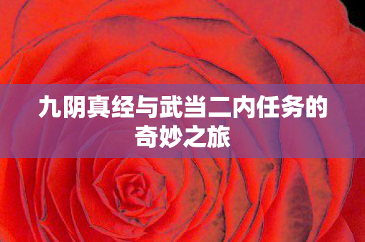 九阴真经与武当二内任务的奇妙之旅
