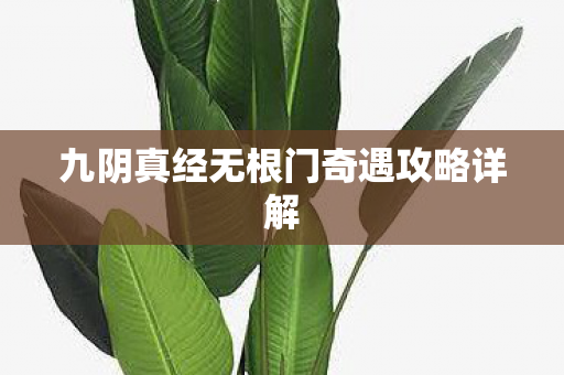 九阴真经无根门奇遇攻略详解 九阴真经无根门奇遇攻略详解