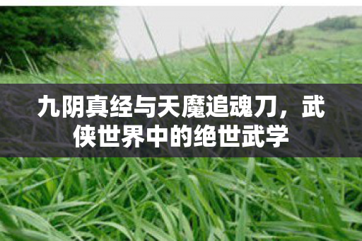 九阴真经与天魔追魂刀，武侠世界中的绝世武学