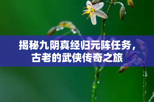 揭秘九阴真经归元阵任务，古老的武侠传奇之旅