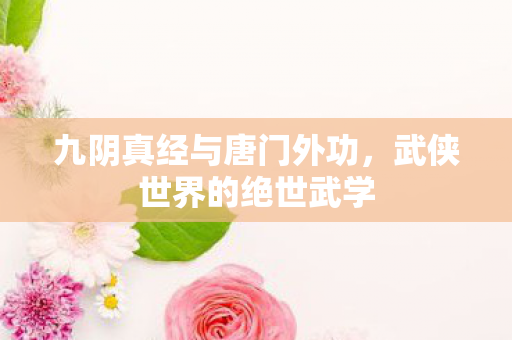 九阴真经与唐门外功,武侠世界的绝世武学 九阴真经与唐门外功,武侠世界的绝世武学