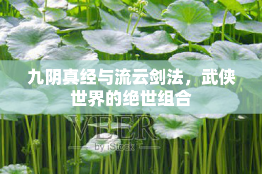 九阴真经与流云剑法,武侠世界的绝世组合 九阴真经与流云剑法,武侠世界的绝世组合