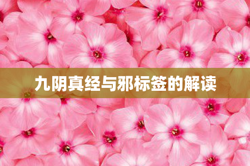 九阴真经与邪标签的解读 九阴真经与邪标签的解读
