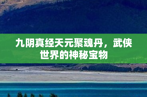 九阴真经天元聚魂丹,武侠世界的神秘宝物 九阴真经天元聚魂丹,武侠世界的神秘宝物